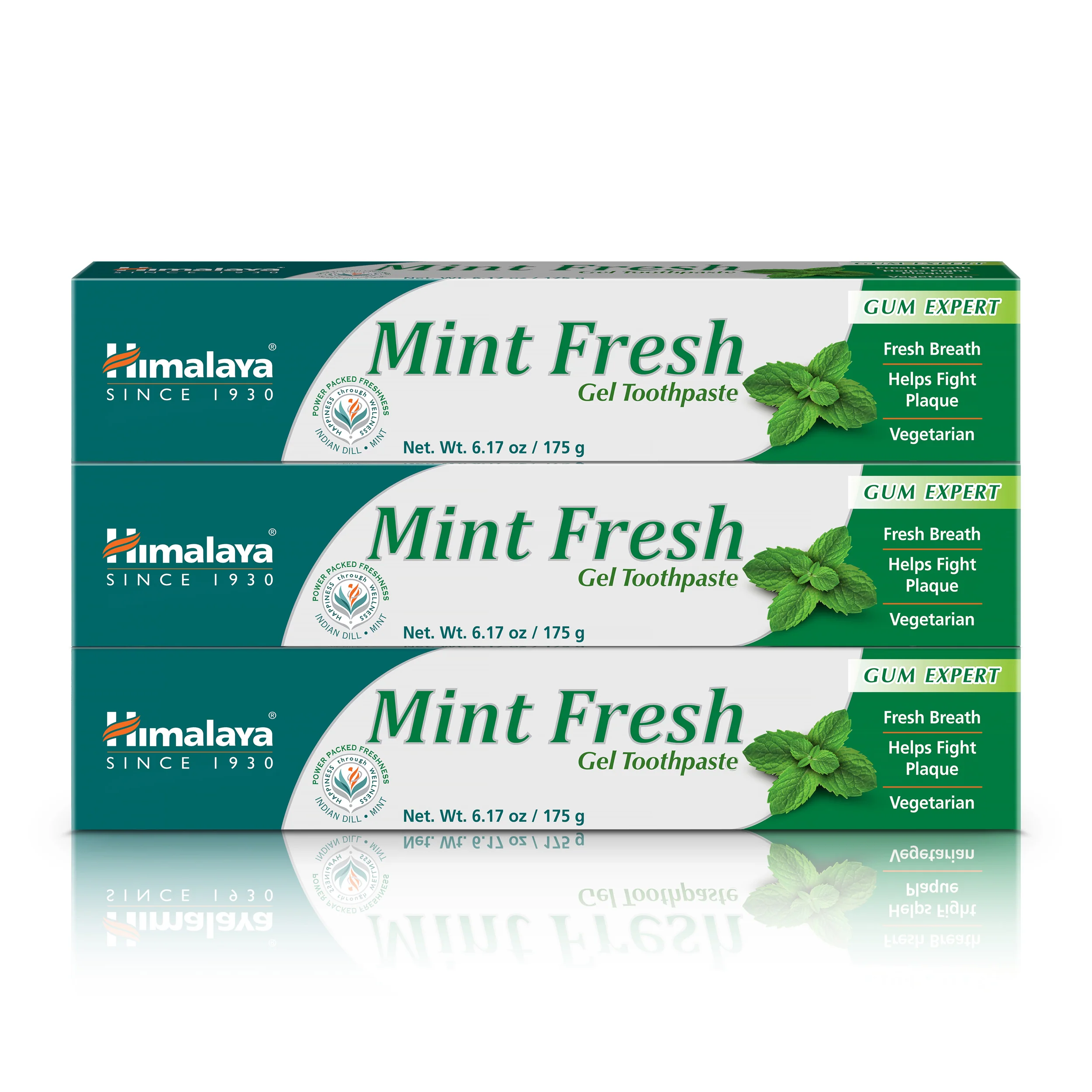 Mint Fresh Gel Toothpaste - Image 5