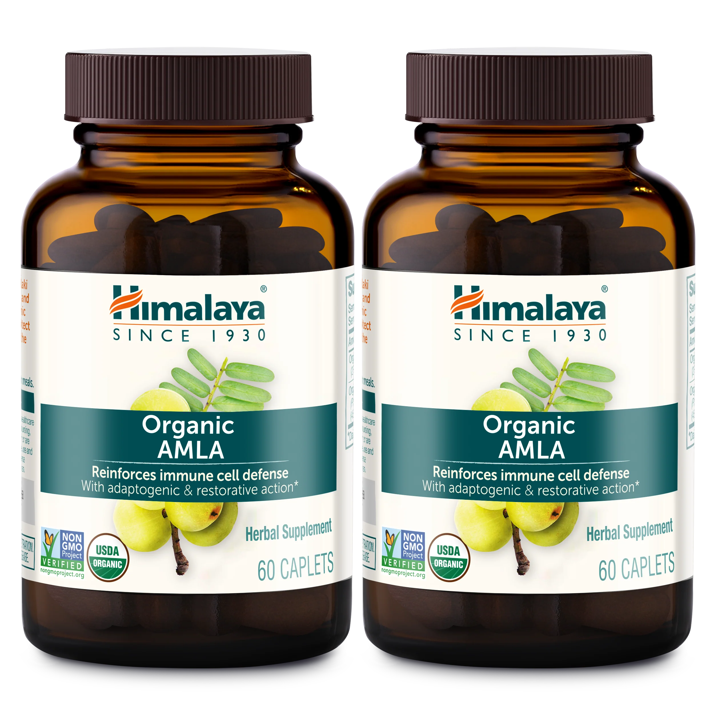Organic Amla - Image 3