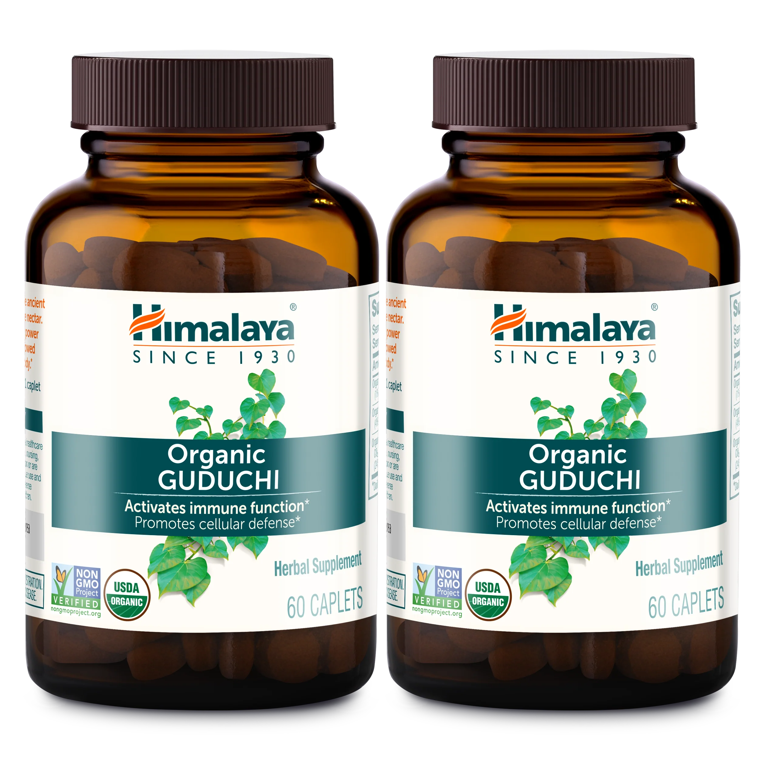 Organic Guduchi - Image 3