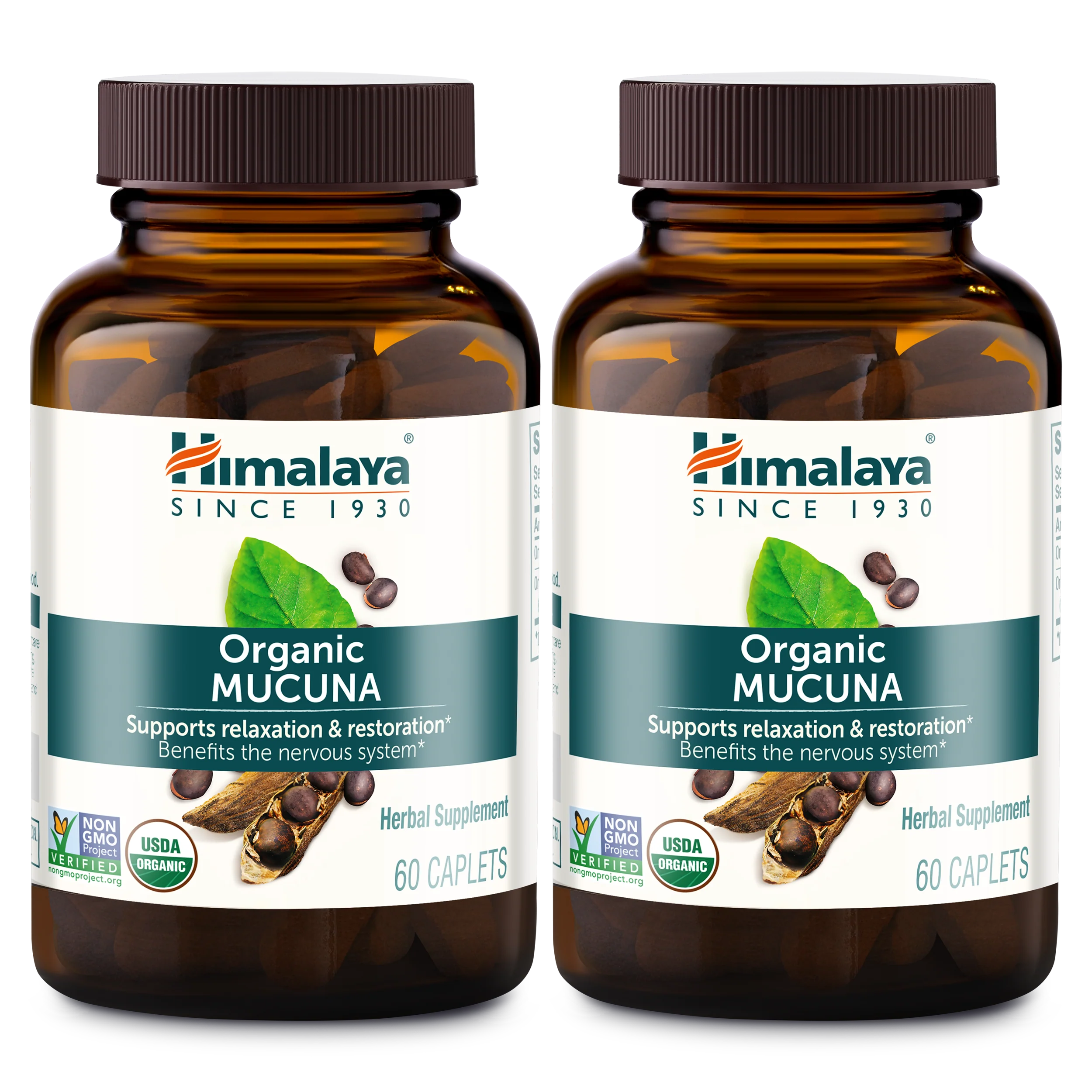 Organic Mucuna - Image 3