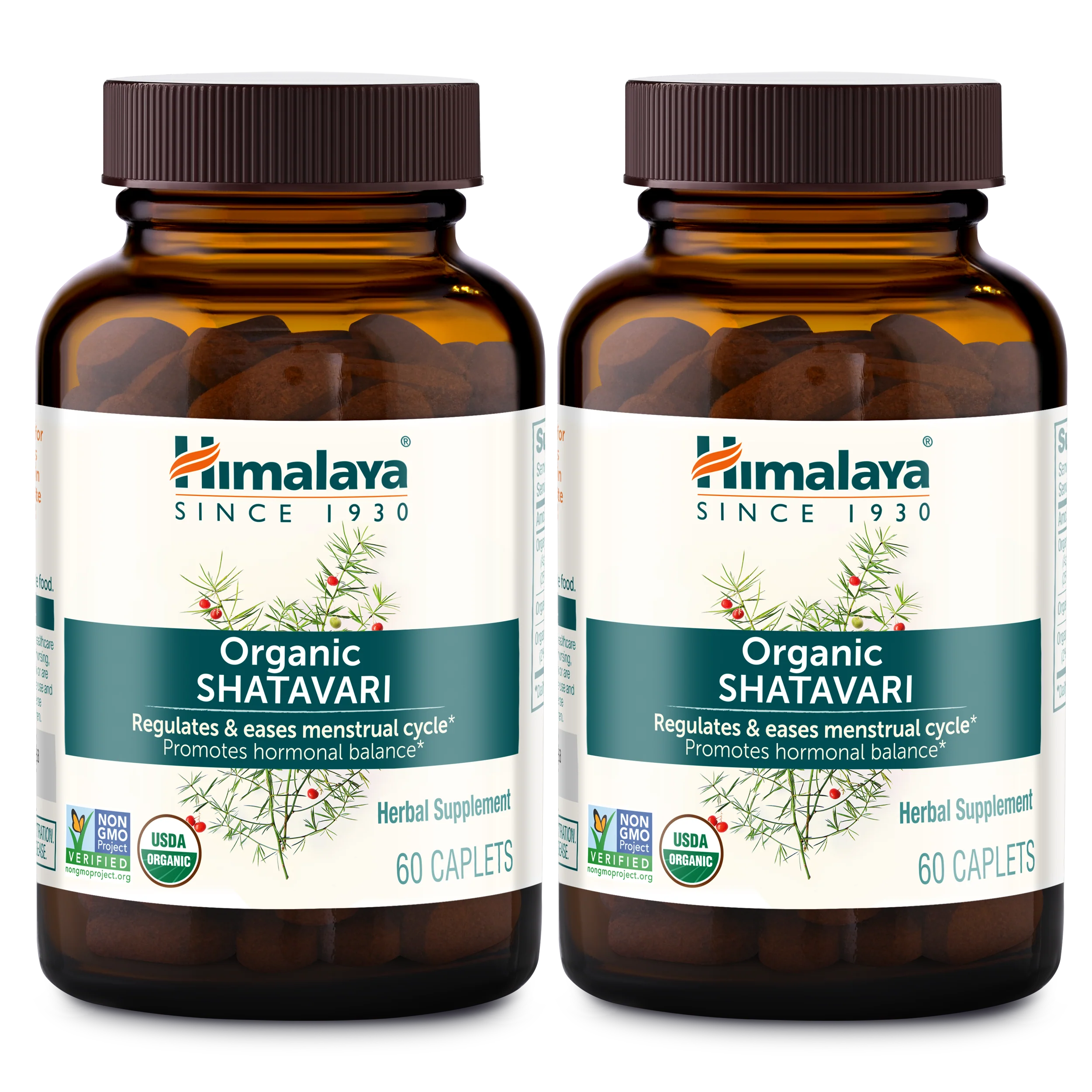 Organic Shatavari - Image 3
